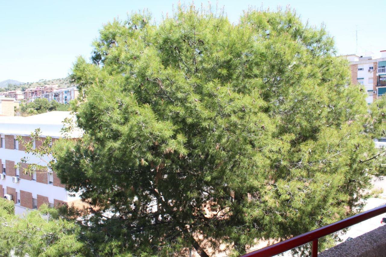 Apartamento Con Parking Gratuito Malaga Luaran gambar